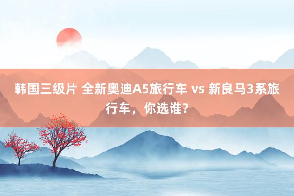 韩国三级片 全新奥迪A5旅行车 vs 新良马3系旅行车,你选谁?