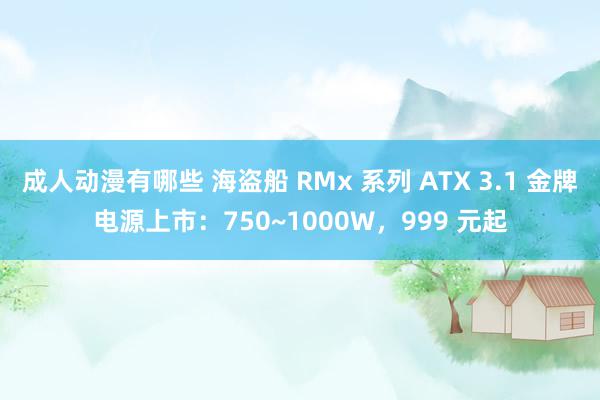 成人动漫有哪些 海盗船 RMx 系列 ATX 3.1 金牌电源上市:750~1000W,999 元起