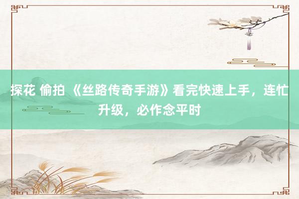 探花 偷拍 《丝路传奇手游》看完快速上手，连忙升级，必作念平时